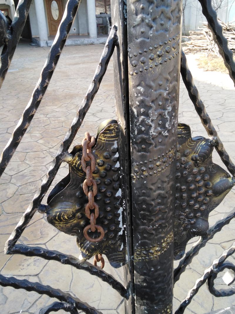 casa lui Ion Dolanescu