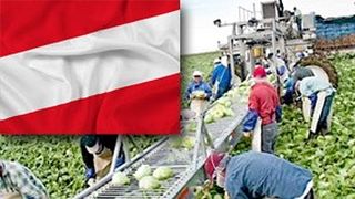 VIDEO| Rom&acirc;n care a plecat să lucreze &icirc;n Austria a fost confirmat cu noul coronavirus