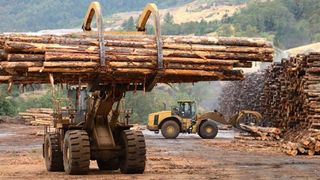 Ministrul Mediului: Joi va fi votată &icirc;n Parlament o propunere legislativă privind interzicerea exportului de buştean