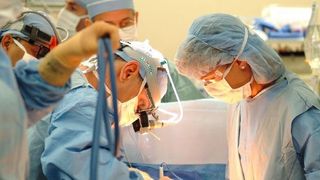 Guvernul a aprobat plata cotizaţiilor şi taxelor &icirc;n domeniul donatorilor voluntari de celule stem