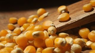 Floricele de porumb rețetă