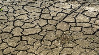 Ministrul Agriculturii a vorbit despre o secetă „cumplită și extremă” în România