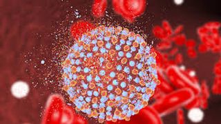 Australia a lansat o aplicaţie de urmărire a răsp&acirc;ndirii COVID-19, controversată şi foarte căutată &icirc;n acelaşi timp