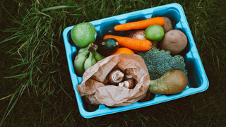 Cum se congelează corect legumele și zarzavaturile?