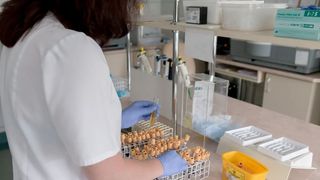 Bilanţul actual al deceselor covid din Rom&acirc;nia. Numărul a ajuns la 711