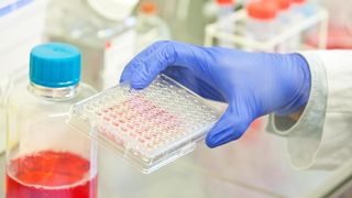 Coronavirus Rom&acirc;nia: Alte nouă decese. Bilanţul a ajuns la 780