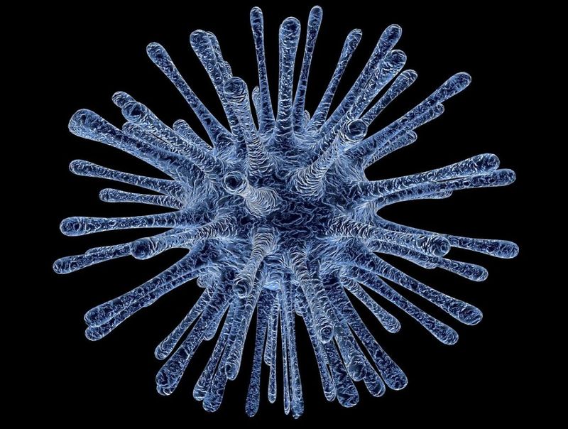 scriitor francez Michel Houellebecq 