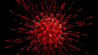 coronavirus franța morți