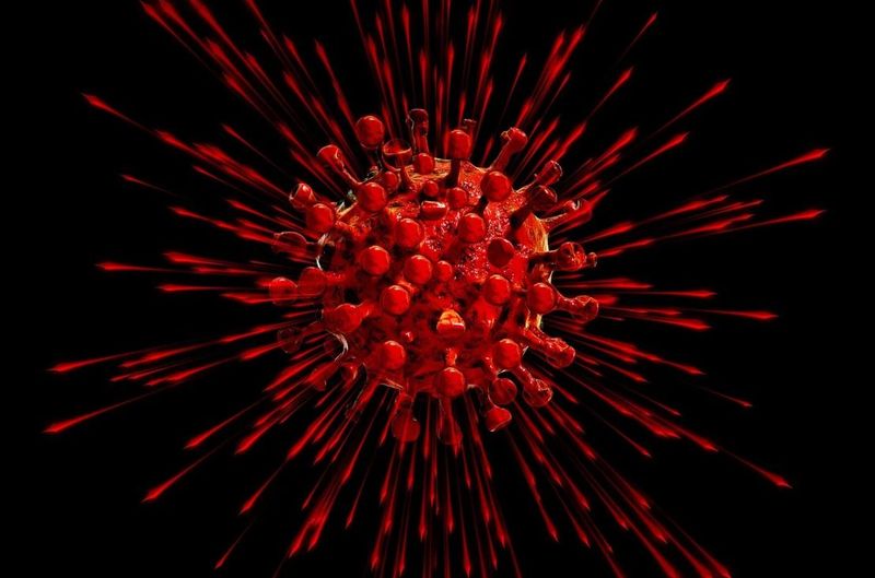 coronavirus franța morți