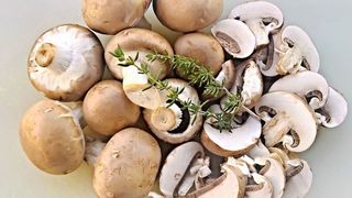 ciulama cu pui si ciuperci reteta