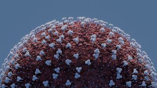 Situaţia pandemiei covid-19 în lume: peste 251.000 de morţi şi peste 3,59 milioane de contaminări