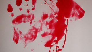 Crimă fără precedent. Băiat ucis cu topoarele de rudele fostei soții și apoi aruncat în sanț: „Andrei trebuie să moară!”