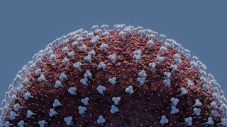 coronavirus franța decese