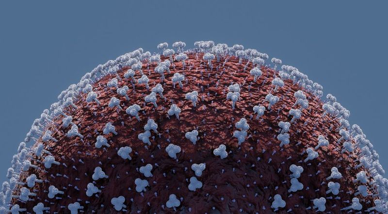 coronavirus franța decese