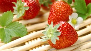 codite de capsuni beneficii sanatate