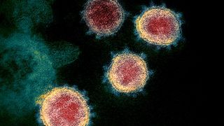 Coronavirus România. Alte 392 de cazuri de îmbolnăvire. Bilanțul ajunge la 14.499. 881 de decese