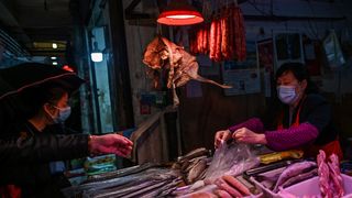 Organizaţia Mondială a Sănătăţii: "Piaţa de animale vii din Wuhan...”