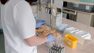 Iaşi: 20 de cadre medicale de la două spitale, confirmate cu noul coronavirus