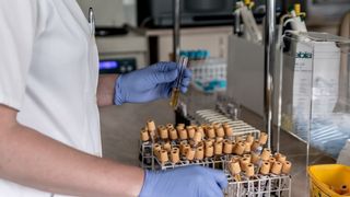 coronavirus italia decese