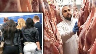 VIDEO| Chinul românilor plecaţi să muncească pentru străini pare fără de sfârşit