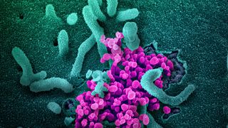 Organizaţia Mondială a Sănătăţii: "Este necesară o vigilenţă extremă"