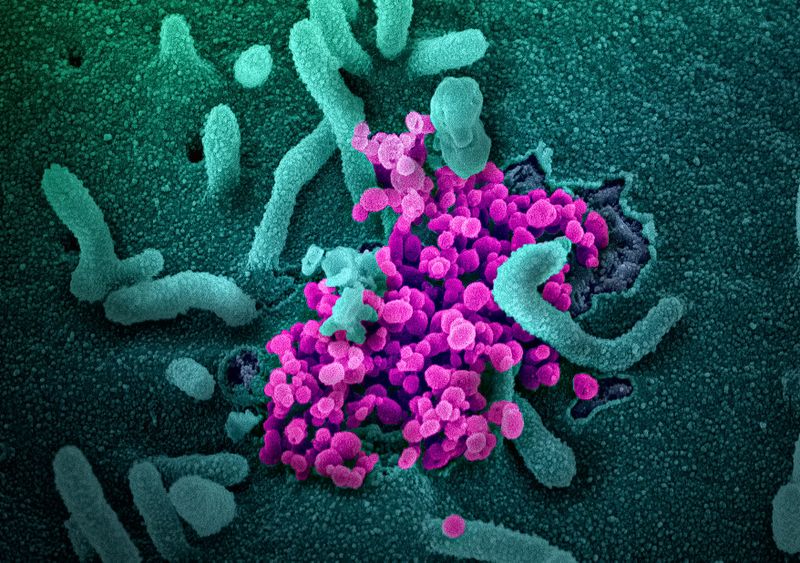 Organizaţia Mondială a Sănătăţii: "Este necesară o vigilenţă extremă"