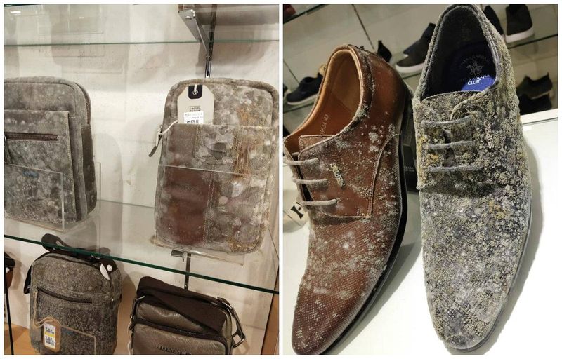 Ce s-a întâmplat într-un mall închis timp de două luni din cauza coronavirusului. Angajații au fost îngroziți când s-au întors la muncă