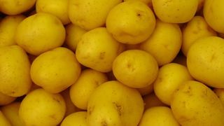 Cartofii noi au apărut în piețe. Adevărul pe care comercianții îl ascund. Mai cumperi? - VIDEO