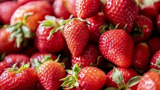 Căpșuni rom&acirc;nești