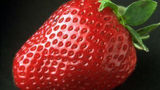 Căpșuni rom&acirc;nești