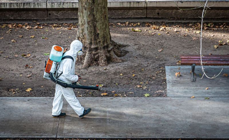 covid 19 decese în lume