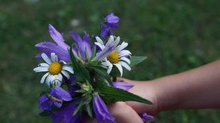 Rusalii 2020. Zile libere. Zile libere Rusalii. Tradiții Rusalii. Rusalii iunie.