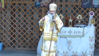 Plângere penală pe numele ÎPS Teodosie. Ce hotărâre au luat procurorii din Constanța