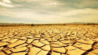  Climatolog: 2020 va fi printre primii trei cei mai călduroși ani de la &icirc;nceperea măsurătorilor 