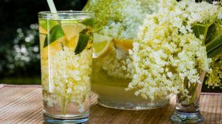 Socată rețetă. Cum se prepară corect cea mai răcoritoare băutură a sezonului. Ingredientul secret