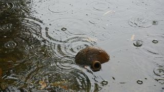 persoane evacuate &icirc;n Michigan