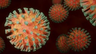 bilanț covid italia