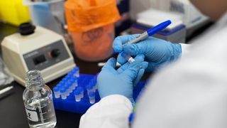 O veste excelentă. Un nou pas în descoperirea vaccinului împotriva coronavirusului