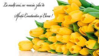 Felicitari de Constantin si Elena