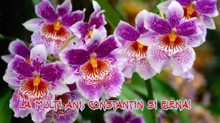 Mesaje de Constantin si Elena 