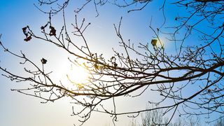 Cea mai rece zi din istorie