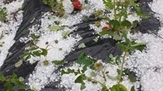 Grindina a făcut ravagii &icirc;n mai multe judeţe