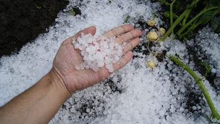 VIDEO | 24 de ore: Ba iarnă, ba vară