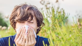 Societatea Mondială de Alergologie: Cei care suferă de alergii sau astm alergic sunt mai puțin expuși la infecția cu coronavirus