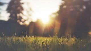 Firea propune 11 spaţii în aer liber unde pot avea loc spectacole în condiţii adaptate actualului context medical