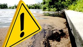 VIDEO| Poluare pe Lacul Băneasa. Reacția Gabrielei Firea