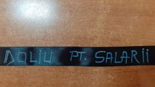 Giurgiu: Angajații unei instituții publice au intrat în grevă japoneză