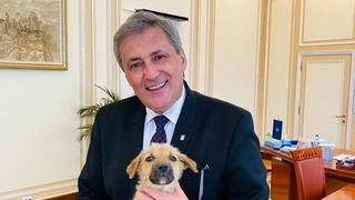 Dosar penal după ce un câine a fost omorât de doi copii