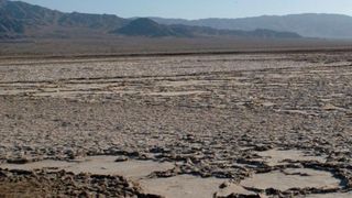 Ministerul Mediului anunţă că poate investi până la 10 milioane de lei în terenurile degradate din România