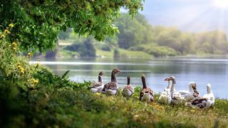 Sibiu: T&acirc;năr dispărut după ce a căzut cu bicicleta &icirc;ntr-un lac